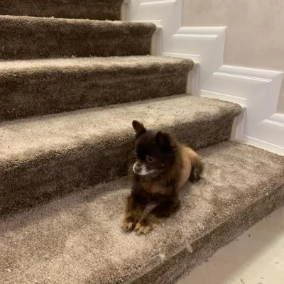 Загородный дом 6